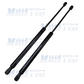 Coppia pistone molla a gas 685 mm attacco rapido a pressione 300N - Mille Molle a Gas