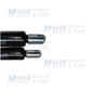 Coppia Pistone Molla a gas 685 mm occhiello foro 8,2 mm 650N - Mille Molle a Gas