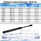 Pistone Molla a Gas 300mm Attacco Rapido a Pressione - Ricambio Universale - Mille Molle a Gas